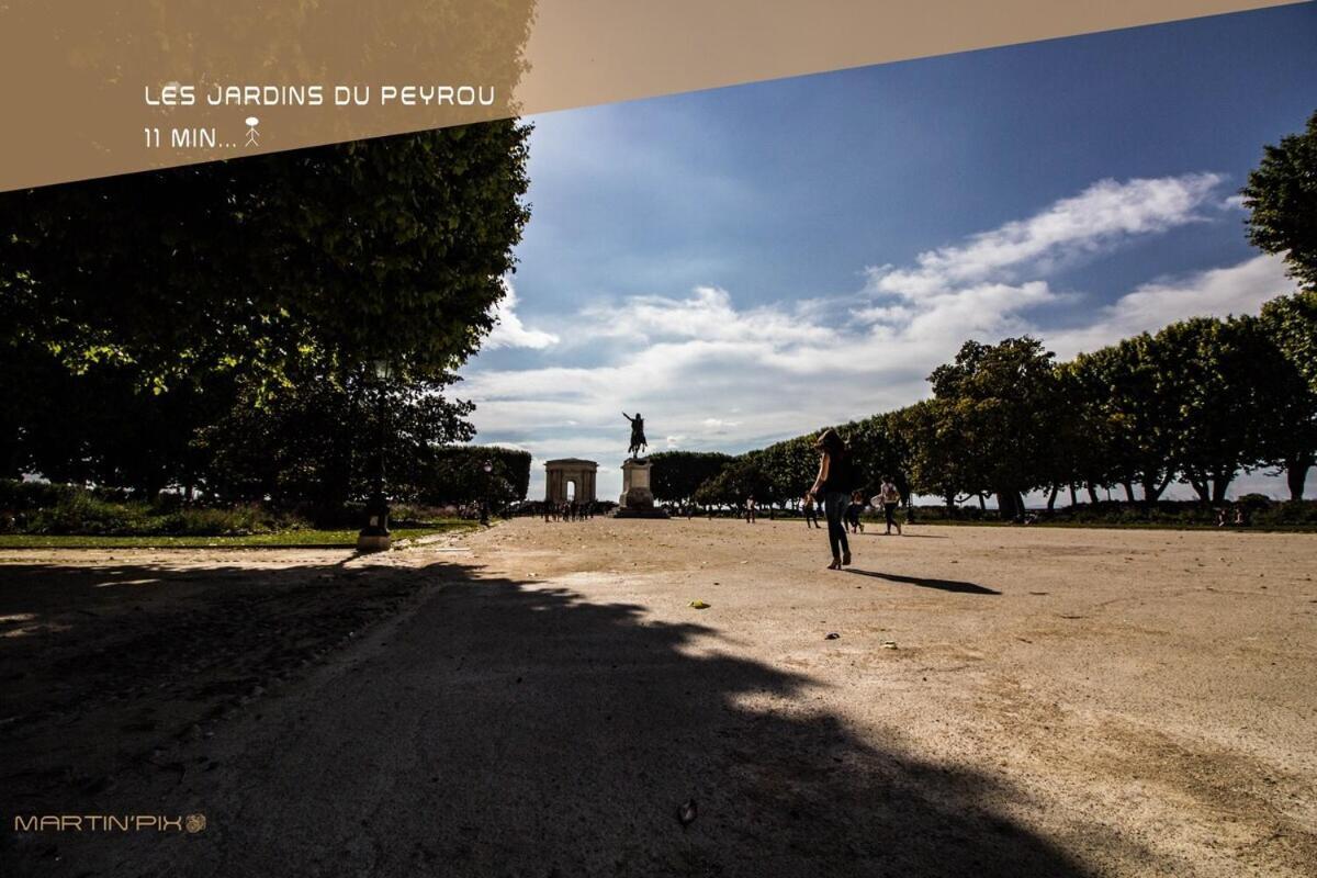 L'Amoureux - Terrasse Et Climatisation Coeur De Ville Монпелье Экстерьер фото